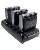 ZEBRA VEHICLE DOCKING STATION 300139
